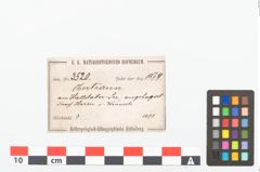 Etikett zu Tierknochen (NHMW-PRAE-003520)